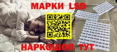 индика Будённовск