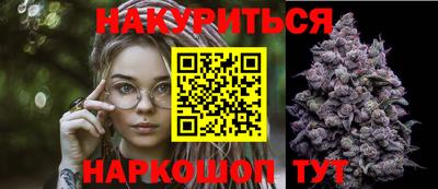 индика Будённовск